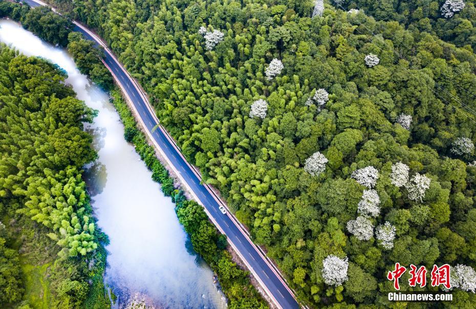 25 January 2023 Is it safe to buy Bitcoin after already gaining 36% YTD?