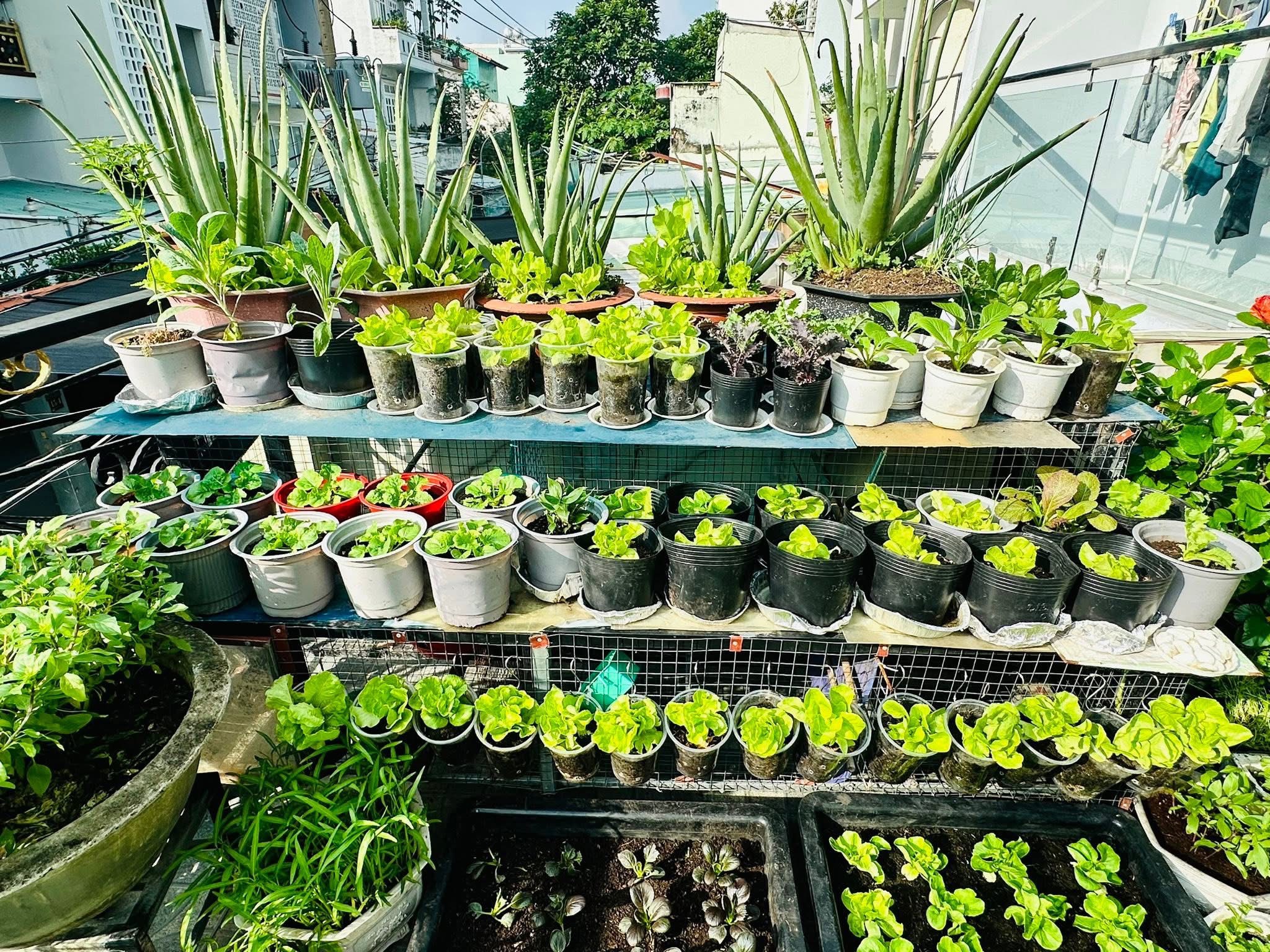 25 January 2023 Is it safe to buy Bitcoin after already gaining 36% YTD?